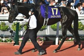 新興オーナーの「非情采配」に賛否!? 関西の若手騎手が田辺裕信に続き降板