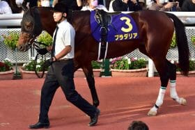 【京都記念予想】「内空け過ぎ問題」が勝負の分かれ目？ 外が気になるルージュの伝言…「イン突き名人」のパパに一発の期待