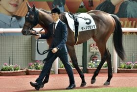 サトノ軍団に「試練」再び…サトノグランツ悲願達成の救世主は「7年前」の因縁の相手