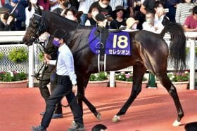 【アルゼンチン共和杯（G2）展望】異色のロードカナロア産駒が登場！ ジャパンC、有馬記念に向け、遅れてきた好素材が激突！