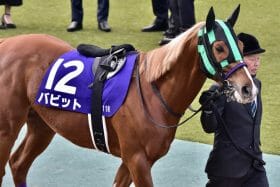 AJCC（G2）「鉄板級の狙い馬」を発見？ガイアフォース有力も、復活を狙う実力馬に「オイシイ」の声？