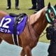 JRA武豊よりも横山典弘の大記録に注目! ガイアフォース、エピファニーの取捨で真逆の見解…「勝てば官軍」の行方はいかに【AJCC(G2)予想】