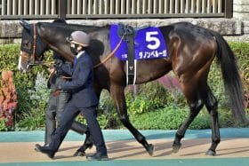 「引退否定」の名手が意欲の札幌記念参戦！ 武豊、川田将雅、横山武史「三強ムード」に待った…7年越しリベンジに吹いた追い風