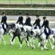 種牡馬スクリーンヒーロー「最後の大物候補」が無傷の3連勝! 元JRA安藤勝己氏「説教したいような騎乗」コントレイル、デアリングタクト世代のベテランが「最低人気」で超久々の祝杯!【週末GJ人気記事ぶった斬り!】
