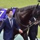 【有馬記念】ディープボンド×和田竜二が惜しまれつつのコンビ解消…意外な乗り替わりは吉と出るか凶と出るか
