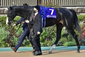 【ドバイシーマクラシック（G1）展望】イクイノックスに状態不安説!? 天皇賞・秋（G1）で完敗シャフリヤールに逆転の目は？