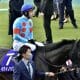 宝塚記念(G1)イクイノックス「ドバイ圧勝」が凡走の引き金に?福永祐一調教師が語っていた持論「逃げた後の難しさ」