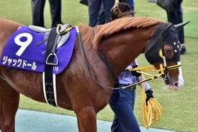 ジャックドール“逃げ宣言”で他馬を威嚇？大阪杯（G1）武豊「メンバーを見渡せばそういう競馬に」
