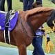 JRAジャスティンカフェで「福永祐一祭り」に期待!? 強い4歳世代にも要警戒、「人気の盲点」となる大穴に激走の予感【東京新聞杯(G3)予想】