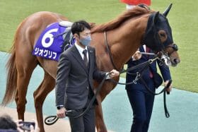 戸崎圭太に新たな「出会い」の予感!? 出世レース快勝のクラシック有力馬に続きイクイノックス、ドウデュース一蹴の「実力馬」が復調を予感させる走り