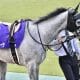JRA【金鯱賞(G2)予想座談会】波乱必至の難解重賞に断!ハーツクライの「サイン」もバッチリ、打倒プログノーシスを託した実力馬と狙う特大万馬券