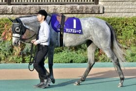 念願のダービージョッキーの座を射止めてから30連敗！ 大阪杯（G1）で不気味な3頭目の牝馬