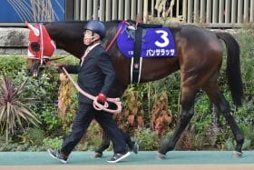 【ドバイワールドC（G1）展望】パンサラッサら日本馬は8頭が集結！ウシュバテソーロは川田将雅と初コンビ！