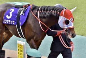 祝WBC優勝！マイアミの次はドバイだ！侍ジャパンに続くイクイノックス、そしてJRA最高の二刀流パンサラッサの激闘を見逃すな！