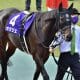 エフフォーリア、タイトルホルダーは消し? イクイノックスの仕上がりもズバリ! 競馬評論家・鈴木和幸のJRA有馬記念【最終追い切り診断】