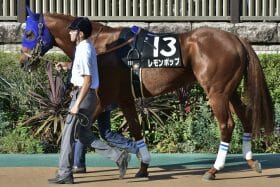 【南部杯（G1）展望】王者レモンポップ連覇なるか！ 新ダート王ペプチドナイルの巻き返しにも期待