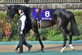 【有馬記念】G1馬9頭に「半信半疑」も期待の声多数？不意の来訪者も登録した今年… 「25年ぶり」の珍事もすでに確定