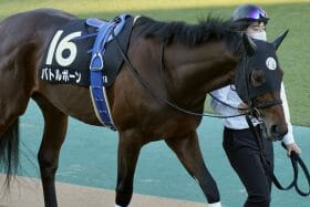 大阪杯（G1）見据え「遅れてきた大物」が激突!? ジャックドール、ポタジェが制した出世レースに注目