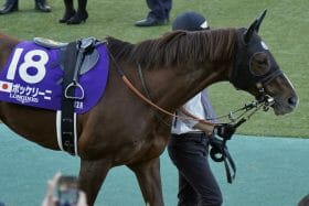 宝塚記念（G1）ローテーション検証から浮かび上がるのは、この穴馬。今の阪神の馬場ですでに結果を出している特注馬とは