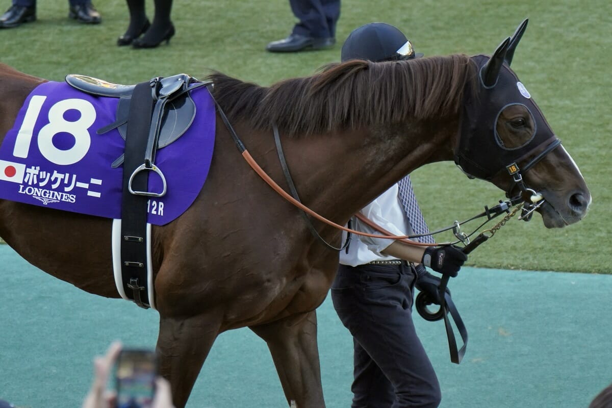宝塚記念（G1）ローテーション検証から浮かび上がるのは、この穴馬。今の阪神の馬場ですでに結果を出している特注馬とはの画像2