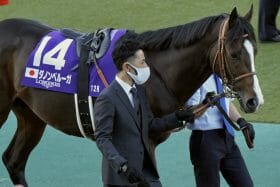 札幌記念（G2）ダノンベルーガ陣営が「異例」の弱気発言!? 目標は秋のレースも…「あえての参戦」に踏み切った裏事情