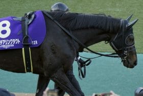 デアリングタクト「＋54キロ」で復帰困難か。調教師「まだ気持ちが切れていない」も、不完全燃焼に終わった昨年ジャパンC（G1）から約8か月