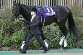 【新潟大賞典（G3）展望】4連勝中のスパイダーゴールドVS宝塚記念へ負けられないカラテ！