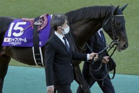 日本競馬が今年の米ブリーダーズCに「大攻勢」をかける理由