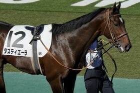 「種馬として成功してほしい」キタサンブラック、ドゥラメンテに続け！ 「冷遇」が続くあの名馬へ、皐月賞（G1）で堀宣行調教師が語った思い