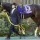 【天皇賞・春(G1)】馬券圏内100%の激走で5万馬券的中!? 四位洋文が福永祐一に授けた「金言」とは… 11番人気2着スティッフェリオにあった鉄板級の法則