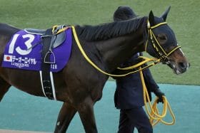 【阪神大賞典（G2）展望】現役屈指のスタミナ自慢が集結！ディープボンドは好調・岩田望来との「新コンビ」で2年ぶり3勝目狙う