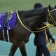 【天皇賞・春】横山典弘「前ポツン」にファンは狂喜乱舞? 20年前の逃亡劇再現あるか……マテンロウレオ陣営も不気味なコメント