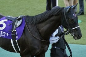 福永祐一調教師「的確ジャッジ」で評価爆上がり!? 「ドバイに比べると…」忌憚のないコメントに絶賛の声