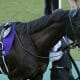 武豊ドウデュースが「最後の希望」に…イクイノックス、ジャスティンパレスら4歳牡馬で分かれた明暗