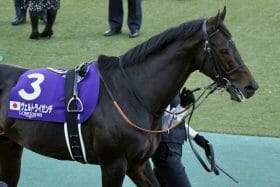 大阪杯（G1）『世界のKAWADA』とコンビ再結成で準備は整った！ ヴェルトライゼンデが屈腱炎を乗り越え、初のG1制覇を目指す！