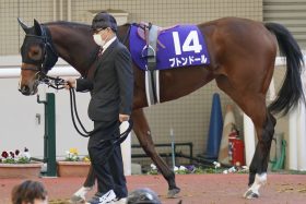 【フィリーズレビュー（G2）展望】波乱含みの桜花賞トライアルで「阪神JF惨敗」ブトンドールとリバーラが3度目対決！