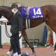 【フィリーズレビュー(G2)予想】リバーラ、ポリーフォリア、トラベログ3着以内「6.3%」で余裕の全消し! 「4点勝負」に導いた3つのポイントとは