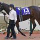 超良血「10冠ベビー」が黒星スタート…若武者×気鋭トレーナーが手痛い敗戦