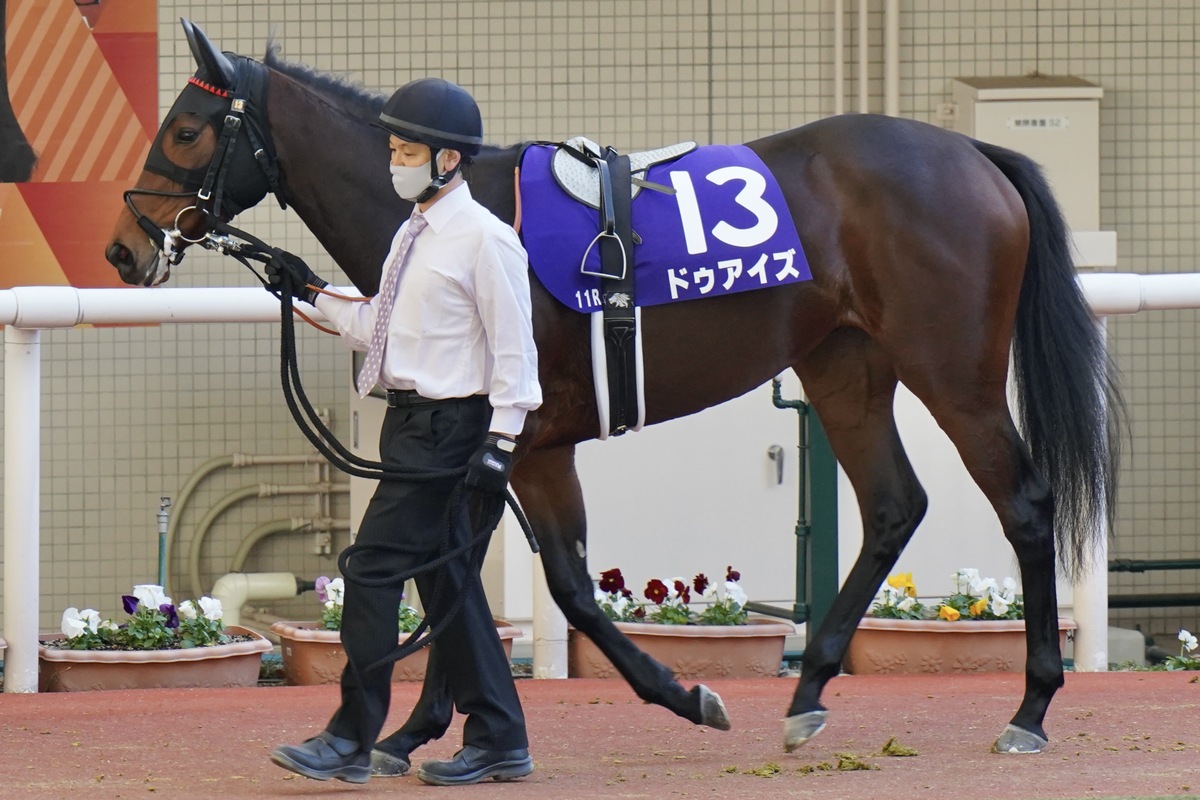 【クイーンC（G3）展望】三冠牝馬＆オークス馬の仔が阪神JF（G1）3着ドゥアイズに挑戦状！の画像1