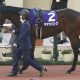 JRA「強制卒業」させられたリーディング下位騎手のフリー化が続々、内輪揉めや騎乗馬の確保を心配する声も…「誰も得をしなかった」介入とは