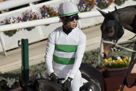 JRA京都金杯（G3）変則3連覇中“金杯男”がお年玉をプレゼント!? 中京「連対率100%」の穴馬とは？