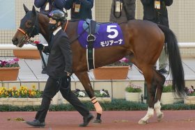 横山典弘「マジック」に絶賛の嵐！ 横山武史「自画自賛」の100点満点も「勝った馬は120点」連対機会6連続で親子ワンツー！