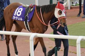 オークス（G1）「終わってみれば簡単」のオチに要注意!? 気付いていれば先週は1点で的中も…唯一「リバティアイランドより切れた」馬が赤丸急上昇