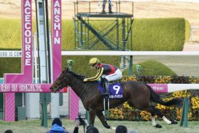 JRA桜花賞（G1）「川田将雅×中内田厩舎」リバティアイランドが越えるべき壁。行き着く先は三冠ジェンティルドンナか没落ダノンファンタジーか？