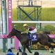 【桜花賞(G1)予想】ライトクオンタムは疑問視、リバティアイランドは押さえまで、実績上位の穴馬を狙って高配当を期待