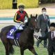 オークス(G1)リバティアイランド一強ムードの裏で「因縁対決」勃発!? 5年目の若手が重賞ウイナーと「元サヤ」でも素直に喜べないワケ