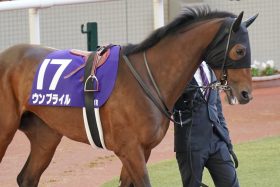 ナミュール、マスクトディーヴァは大丈夫？高速馬場の「カラクリ」に要注意…歴代最高「2070万馬券」の大波乱はなぜ起きた【ヴィクトリアマイル】