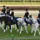 JRA京都記念(G2)横山武史「降板説」にファンやきもき!? ドウデュース、キラーアビリティと超豪華「G1級対決」が実現