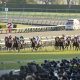 元JRA藤田伸二氏が菊花賞(G1)完全的中!? 「頭まである」ドゥレッツァ&「距離不安」ソールオリエンスをズバリ