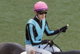 JRA日経新春杯（G2）D.イーガン「騎乗停止」で強制帰国、ヴェルトライゼンデ満点騎乗も直前に大チョンボ